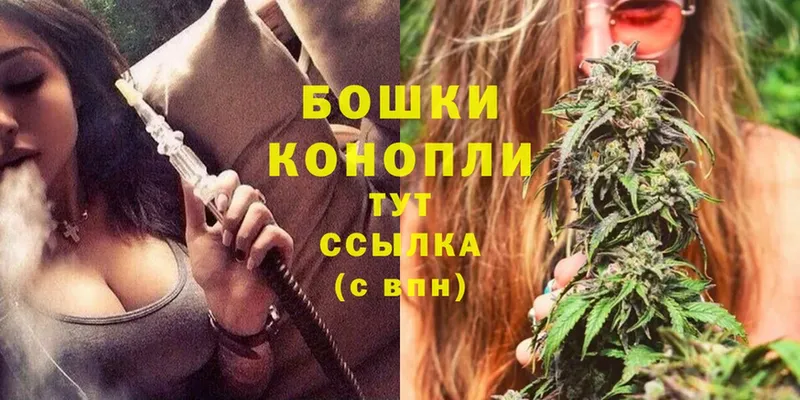 где можно купить наркотик  Грайворон  Канабис Ganja 